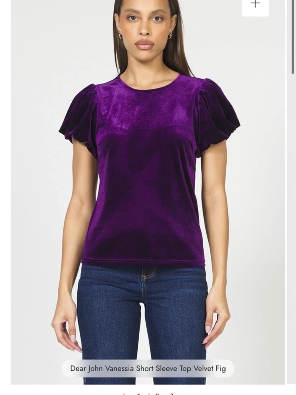 NWT!! Dear John Vanessia Short Sleeve Velvet Top in Fig